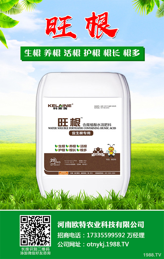 尿素出廠價(jià)格