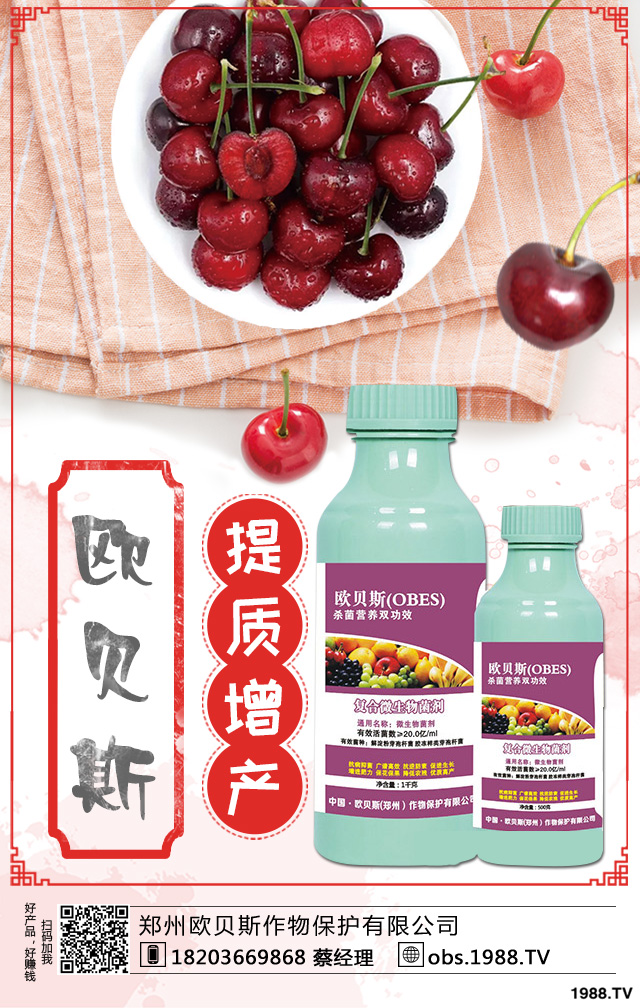 ��������ηNֲ������������༼�g(sh��)