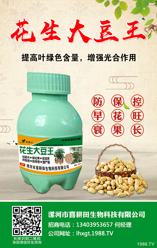 �������@�r�������߄ݷ���2019.8.28