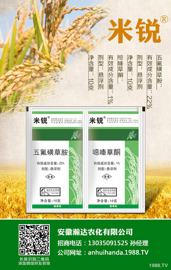 �Բ�������Щ��̎�����˵ĠI�B(y��ng)�r(ji��)ֵ����Щ��