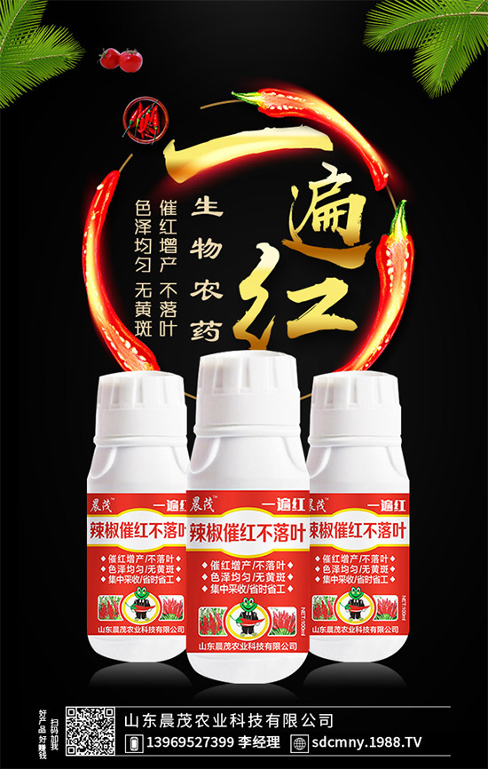 辣椒催紅早熟早上市!辣椒催紅不落葉,就用“一遍紅”!效果好實力強(qiáng)!