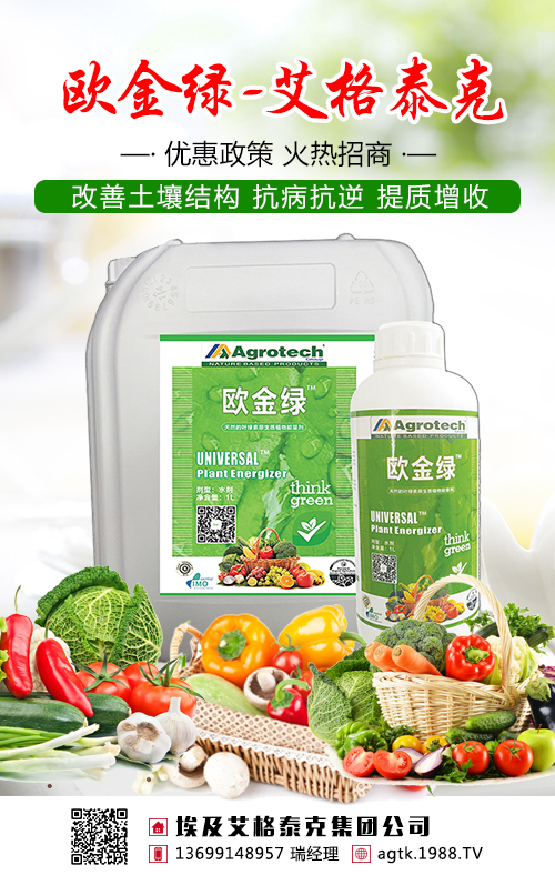 不要盲目施肥了，茶葉需要吃對(duì)糧！