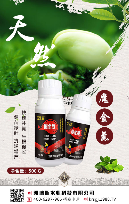 ���@��׷�����󶹸߮a(ch��n)����