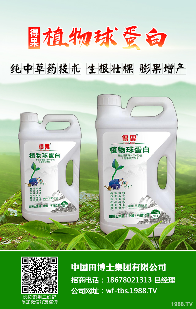 大蔥種植怎么管理?秋季大蔥管理好方法