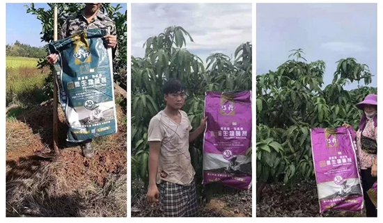 ��΢�������+�ЙC�ʡ�Ч��ţ����ʩһ������飬ʡ���ָ߮a(ch��n)��