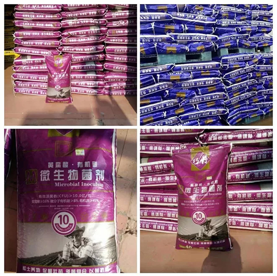 ��΢�������+�ЙC�ʡ�Ч��ţ����ʩһ���������ʡ���ָ߮a(ch��n)��