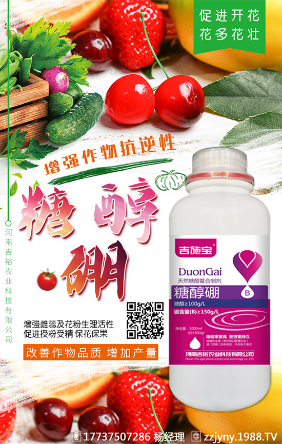 葡萄缺硼在果上葉上表現(xiàn)癥狀！什么時(shí)候補(bǔ)硼？葡萄補(bǔ)硼時(shí)間及技術(shù)！