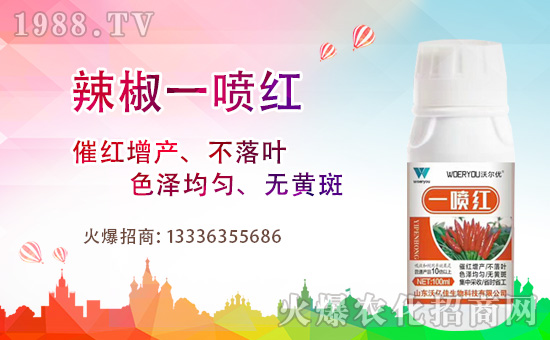 ������һ���t���÷��f������ʲôҪ�á�����һ���t��������һ���t�Ă����Ӻ���