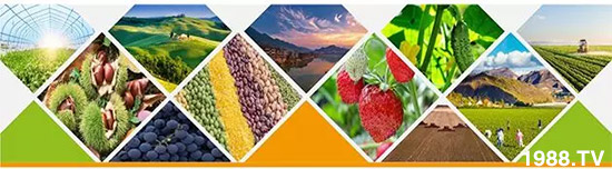 “化肥零增長(zhǎng)”高壓下,新型肥料迅速崛起,作物科學(xué)增長(zhǎng)空間巨大!