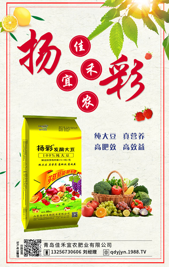 秋茬西紅柿要想產(chǎn)量高，如何澆水沖肥？