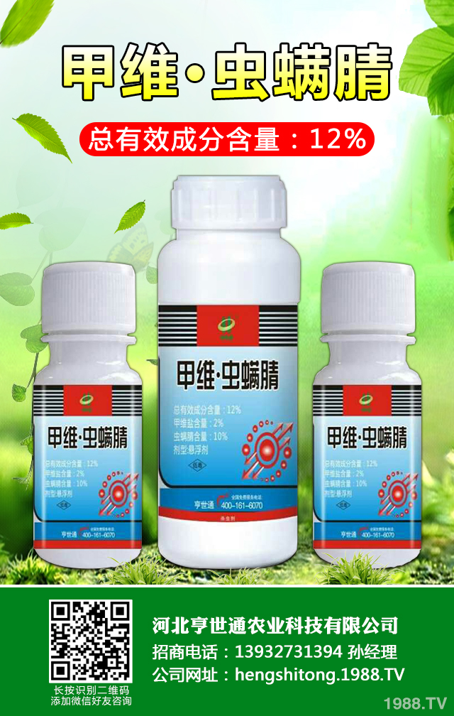 如何巧治馬鈴薯甲蟲害?馬鈴薯甲蟲害防治技巧