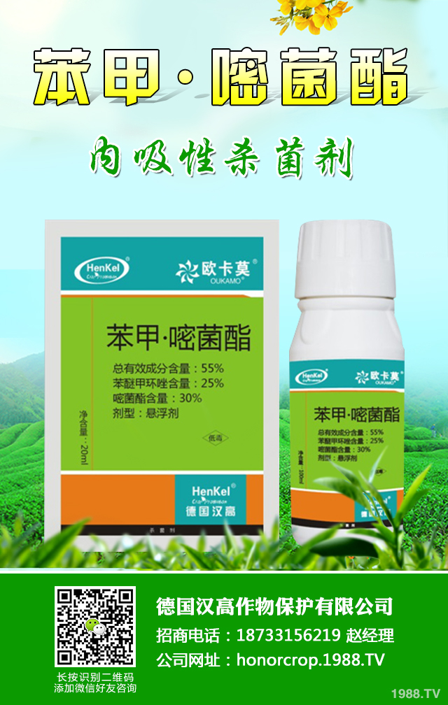 辣椒爛果病怎么辦？關(guān)于辣椒爛果病防治措施