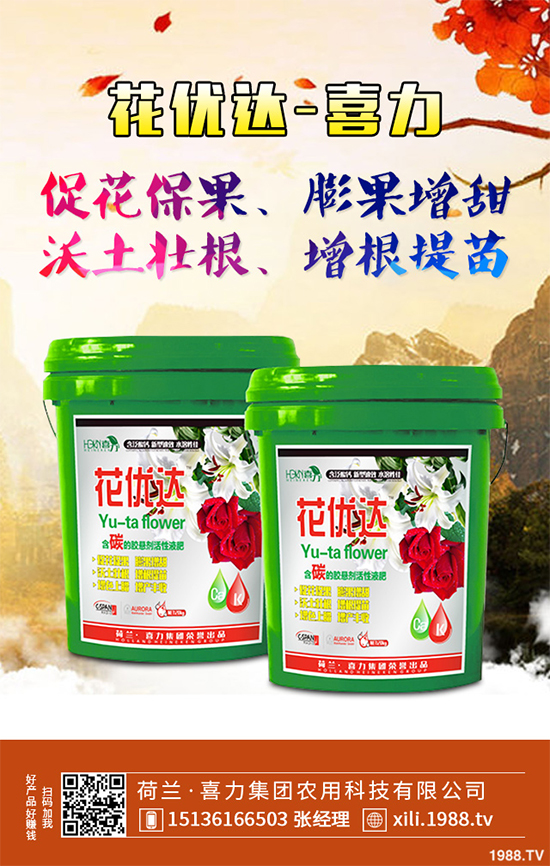 芥菜種植需要注意什么?芥菜高效種植技術(shù)及管理事項