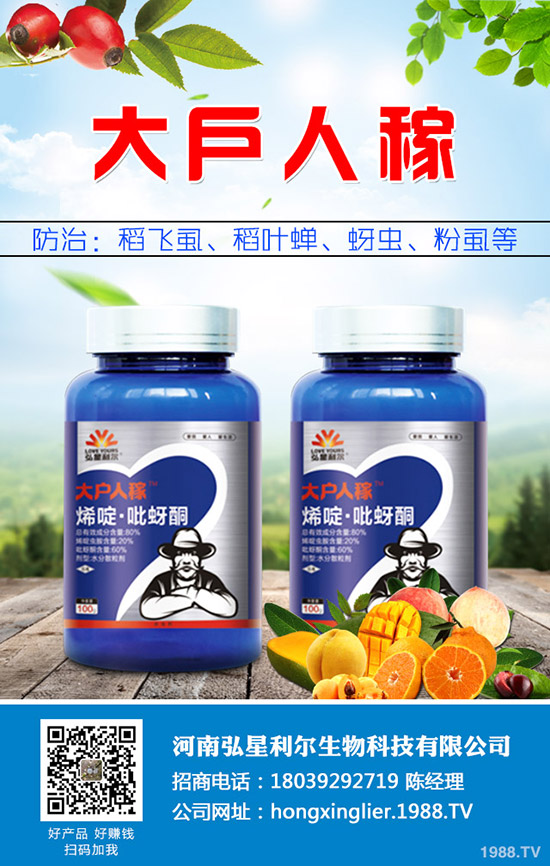 萬(wàn)年青黃葉怎么辦,萬(wàn)年青黃葉原因及防治措施!