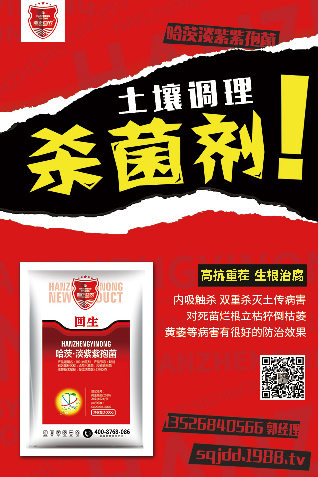 茄子土傳病害怎么辦?茄子嫁接可避免土傳病害