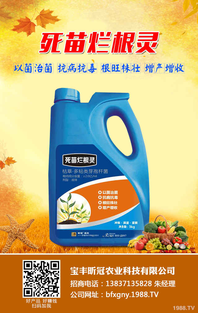 蔬菜苗期立枯病怎么辦?蔬菜苗期立枯病防治技巧