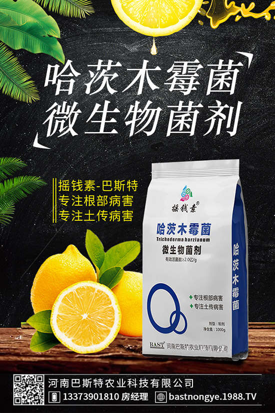 虎皮蘭爛根怎么辦，虎皮蘭爛根的防治措施！