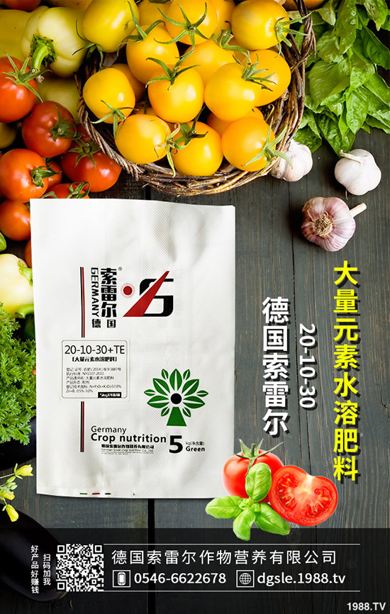 如何防治辣椒花葉病?辣椒花葉病的防治措施!