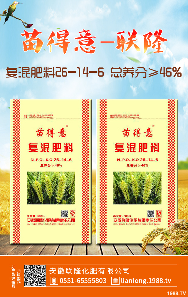 小麥怎么管理效果好?小麥成熟期田間管理