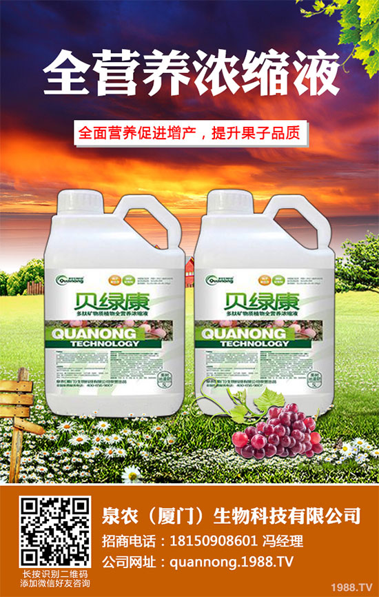 大蔥常見病蟲害有哪些？該如何防治？大蔥病害防治技術(shù)