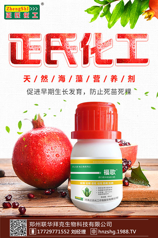 金銀花有什么作用,金銀花的功效與食用禁忌!