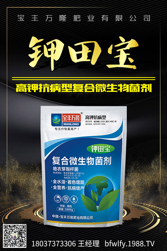 大蒜如何管理才能高產(chǎn)，大蒜高產(chǎn)管理技術(shù)！