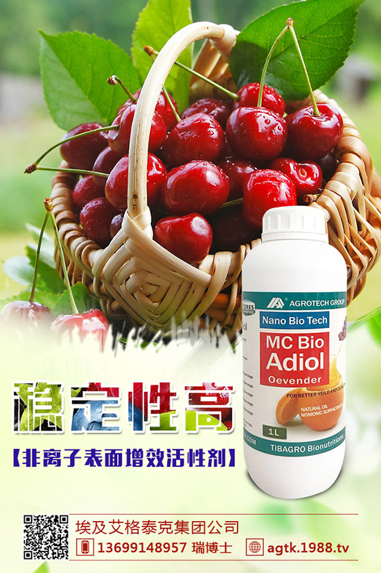 金銀花怎樣種好，金銀花種植要點！