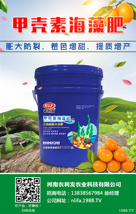 大蔥干尖是咋回事？怎樣解決？大蔥干尖的原因及防治