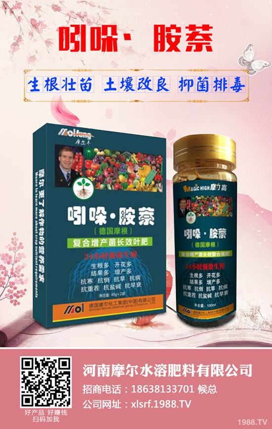 蓮藕怎樣才能高產,蓮藕的高產管理技術