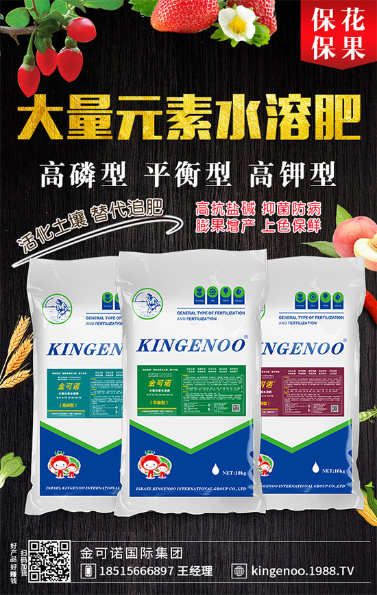 二銨市場需求一般!最新二銨價格行情走勢分析2019-9-19