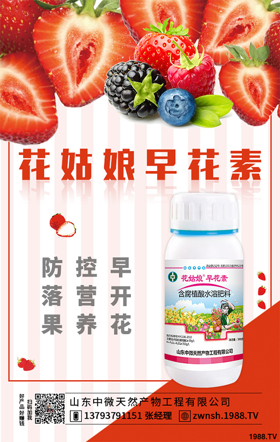 大蔥苗期病害有哪些危害表現(xiàn)?該如何預(yù)防?大蔥苗期病害預(yù)防措施