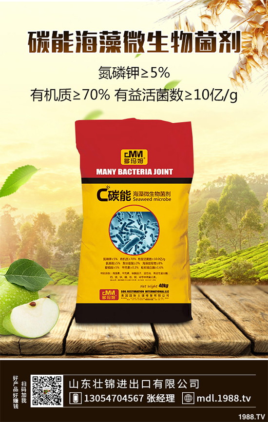 大蔥紫斑病有哪些危害？是如何引起的？大蔥紫斑病的防治措施