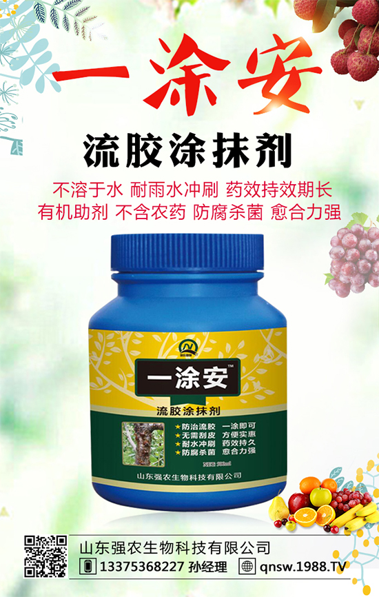 ܛ��ʯ��Ʒ�N����Щ��ܛ��ʯ��ĸ߮a�Nֲ���g