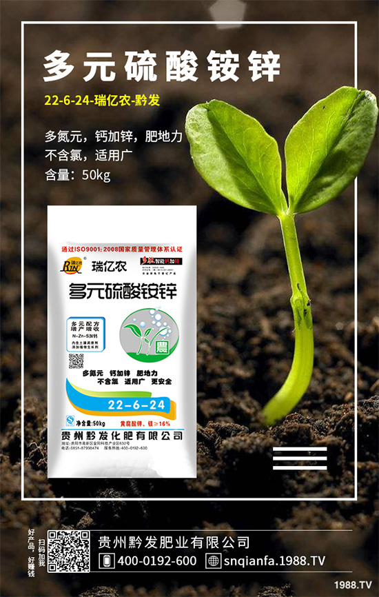 萵苣該如何育苗?萵苣苗期管理技術要點