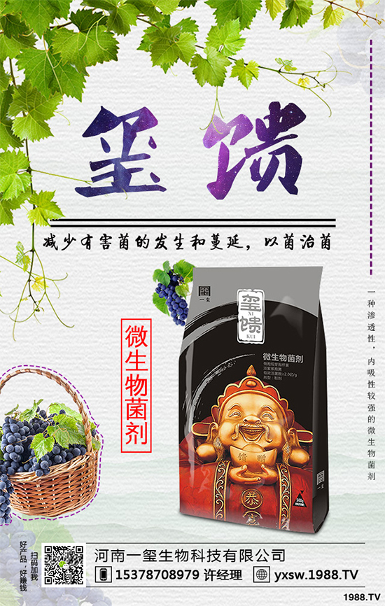     北方怎樣種植藍(lán)莓？種植藍(lán)莓應(yīng)該注意什么？