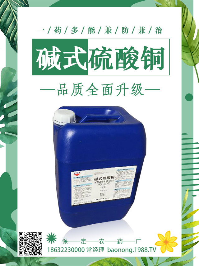 馬鈴薯病害怎么防治？馬鈴薯主要病害防治