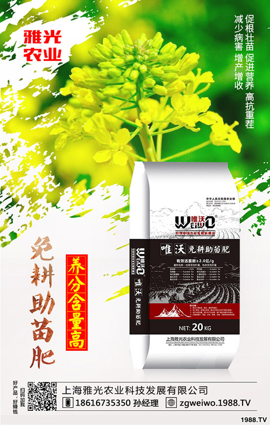 紫薯有哪些營(yíng)養(yǎng)價(jià)值,紫薯與紅薯相比哪個(gè)更有營(yíng)養(yǎng)?