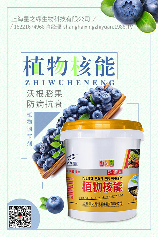 番茄菌核病有哪些癥狀,番茄菌核病危害及防治!