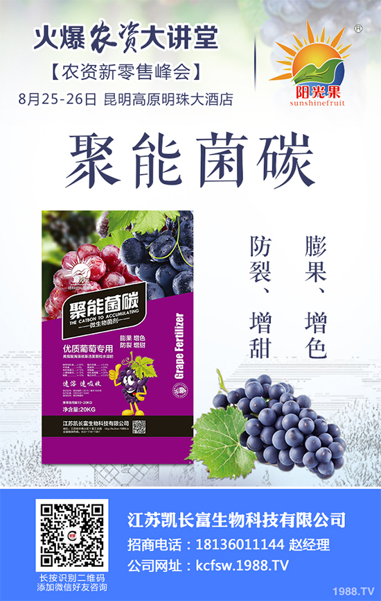 豌豆什么時(shí)候種植?該怎么種?豌豆種植時(shí)間及種植技術(shù)要點(diǎn)