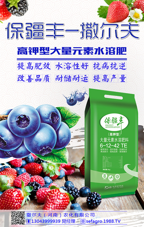 豌豆該怎么施肥？豌豆高產(chǎn)施肥技術(shù)