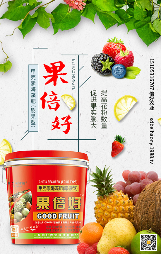 圣女果什么時間種植?圣女果種植技術(shù)要點有哪些?