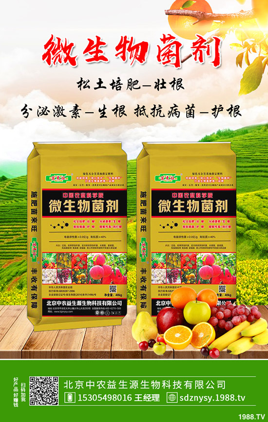     大棚芹菜常見(jiàn)病害及蟲害有哪些？防治措施及藥劑使用推薦！