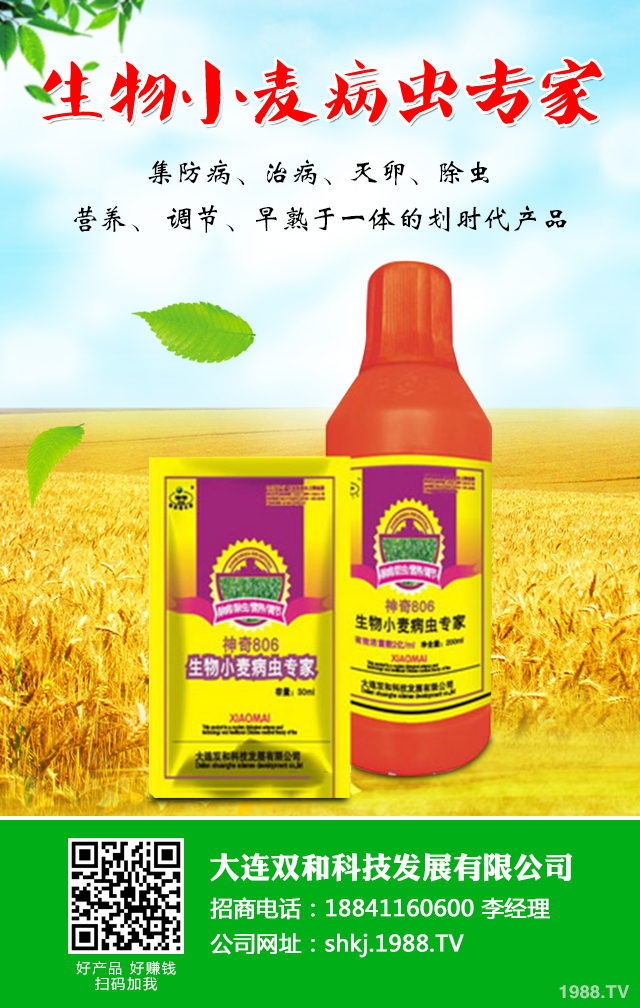 小麥病蟲害危害大!小麥苗期的病害和蟲害介紹