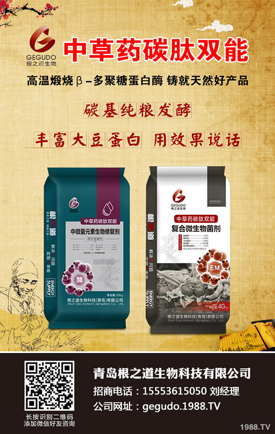 柑橘十月有什么管理注意事項(xiàng)?怎樣管理?柑橘10月管理指導(dǎo)建議!