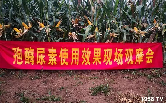 �ٿ���С�����a(ch��n)1471�����pø����ȫ�����������߮a(ch��n)������(d��ng)֮�o����