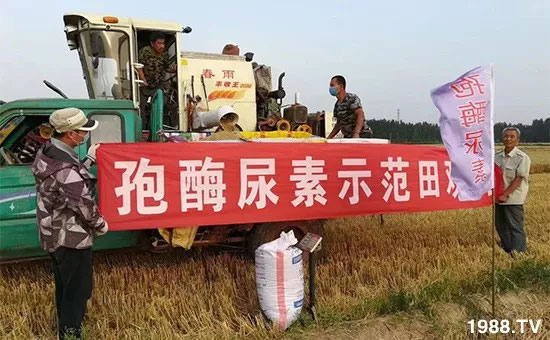 �ٿ���С�����a(ch��n)1471�����pø����ȫ�����������߮a(ch��n)������(d��ng)֮�o����