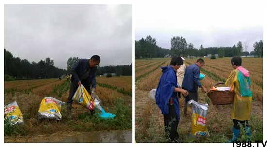 �ٿ���С�����a(ch��n)1471�����pø����ȫ�����������߮a(ch��n)������(d��ng)֮�o����