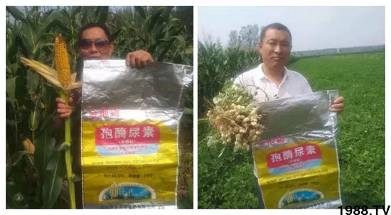 �ٿ���С�����a(ch��n)1471��pø����ȫ�����������߮a(ch��n)������(d��ng)֮�o����