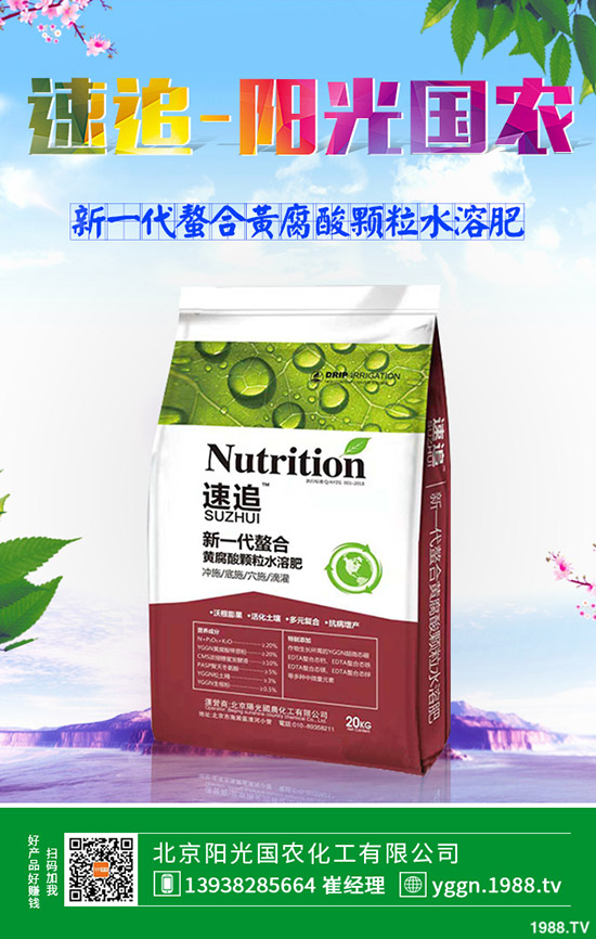     今日最新復合肥市場價格行情走勢預測早訊：