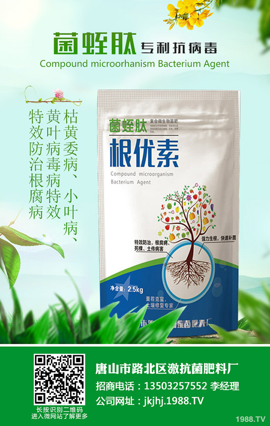 黑皮冬瓜什么時候種合適?黑皮冬瓜高產種植技巧!